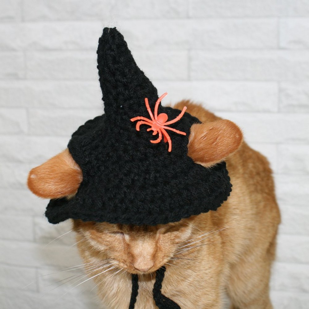 HAND CRAFTED Crochet Halloween Witch Hat Spider Cat Costume Photo Prop - Picture 6 of 13